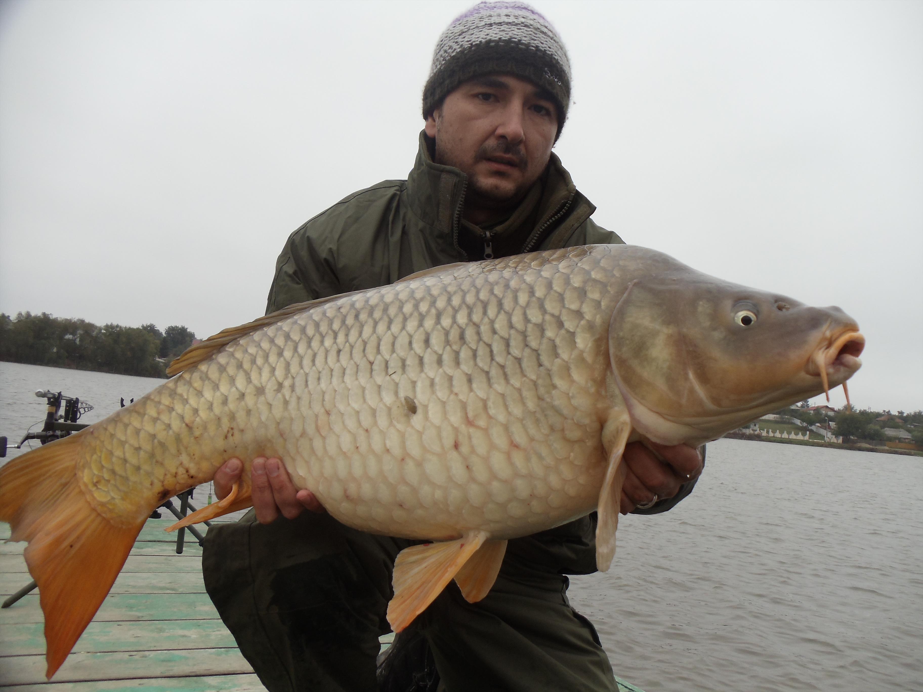 Moara Vlasiei 2012 - MV26.jpg